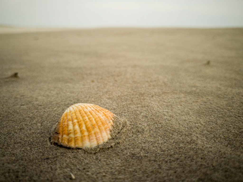 pasir, pantai