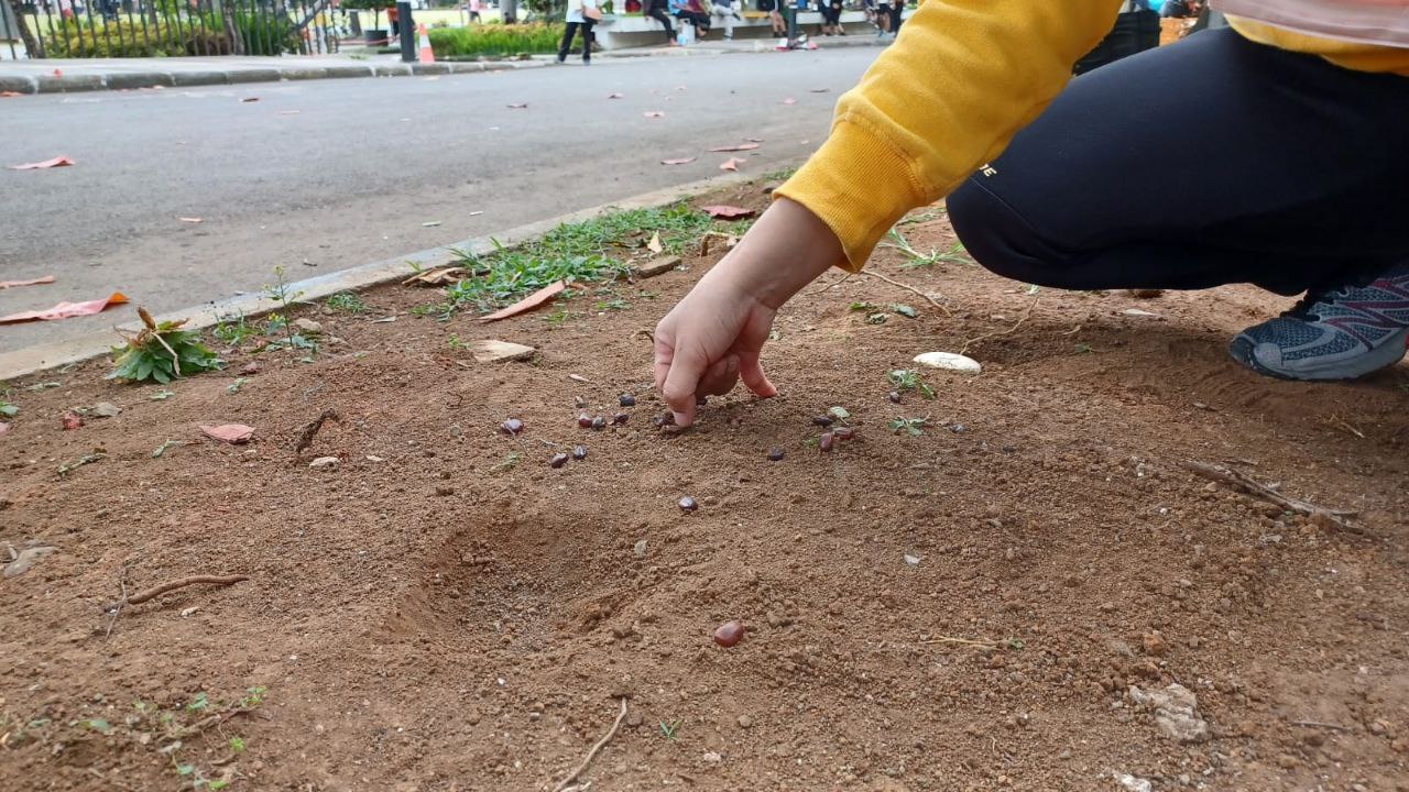 anakbisa, jeletik biji bagek, permainan tradisional, lombok