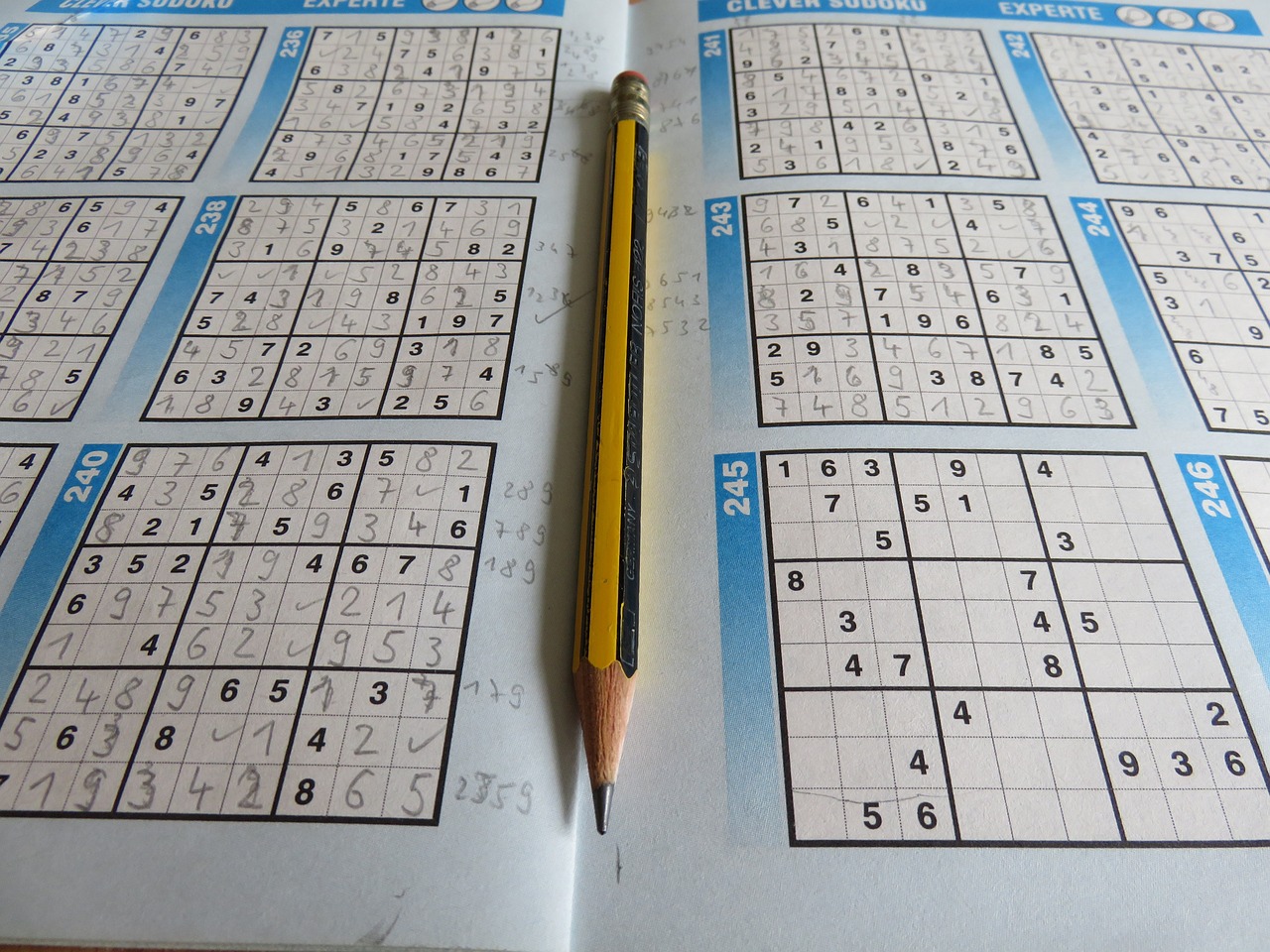 Anakbisa, sudoku,