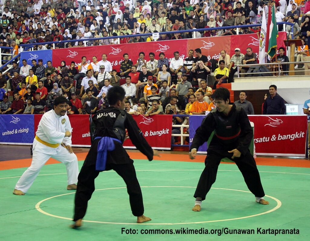 pencak silat, anakbisa,